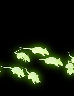 Decoración de fiesta fosforitos y fluorescentes