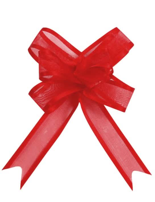 Mini lazo de organdí rojo
