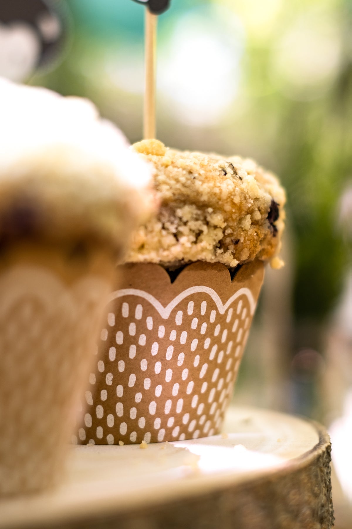 Vue de profil du moule kraft des moules à cupcake et pics en bois animaux de la forêt