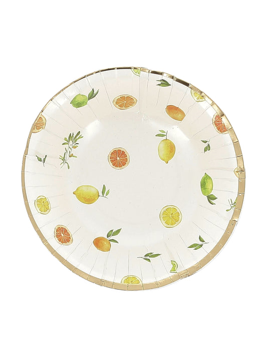 8 cuencos Fizz cítricos de cartón crema, naranja, amarillo y oro 13,5cm decoración frutal
