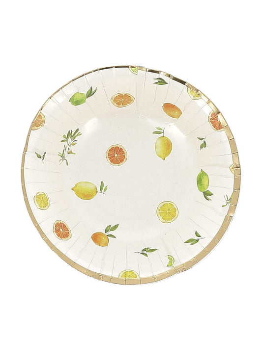 8 cuencos Fizz cítricos de cartón crema, naranja, amarillo y oro 13,5cm decoración frutal