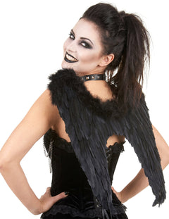 Alas negras de Halloween