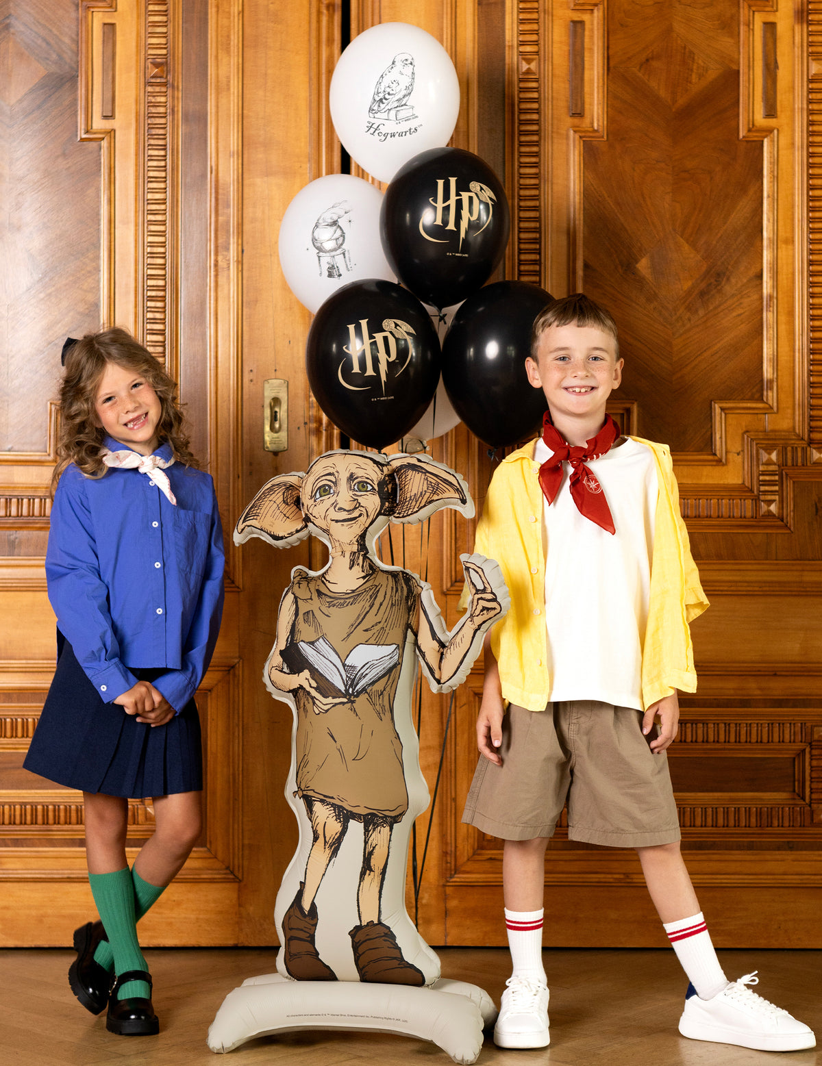 Globo de aluminio con soporte Harry Potter™ Dobby 54x105 cm