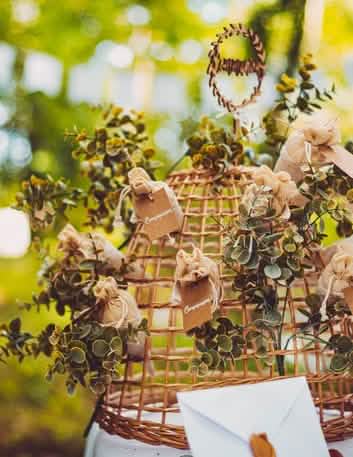 Mise en scène sur une cloche en osier du bouquet de feuilles d'eucalyptus végétal pour décoration vert