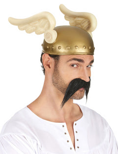Disfraces y accesorios Astérix y Obélix