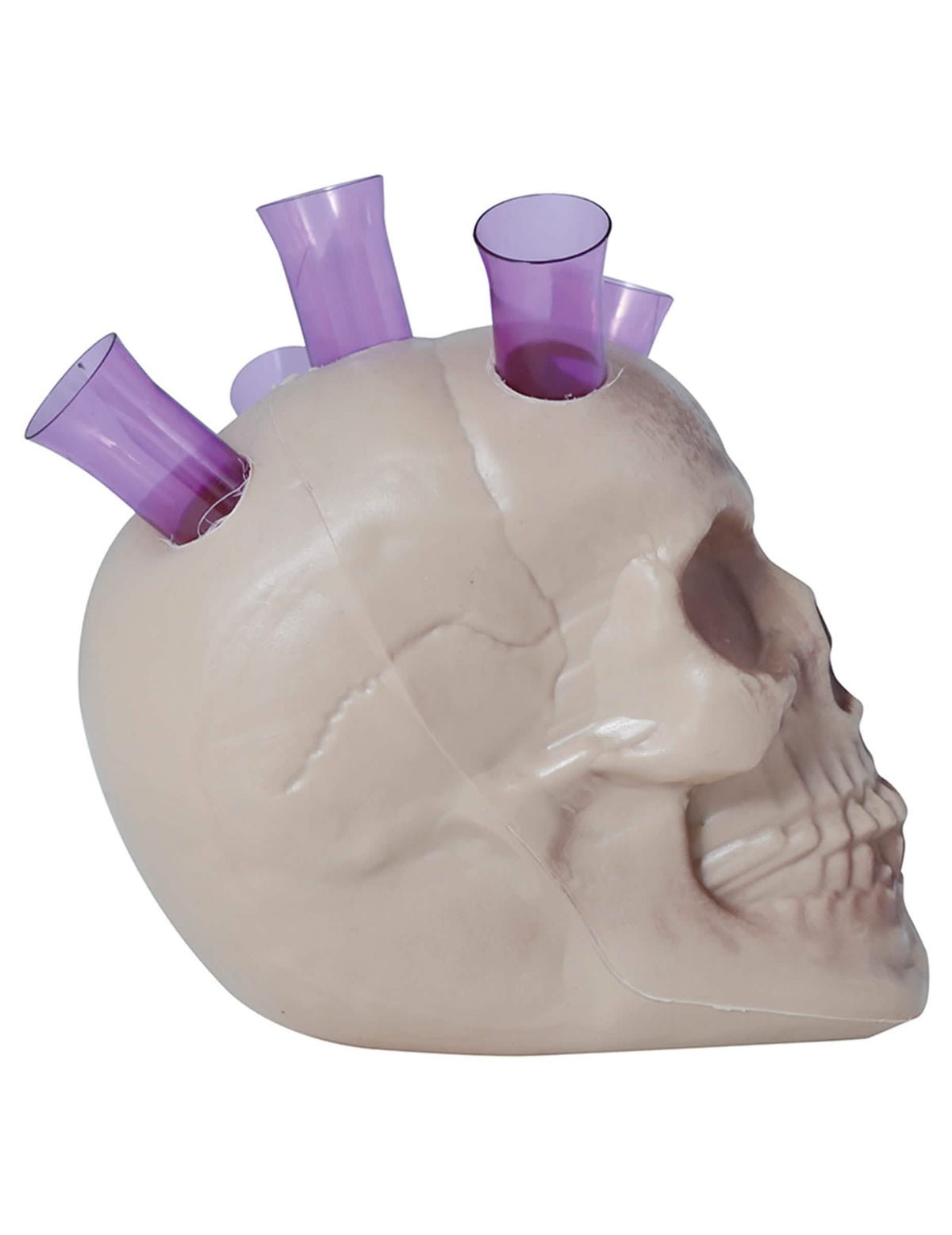 Vista de perfil del cráneo soporte para shot para adulto