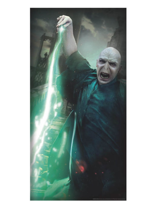 Gros plan sur Voldemort lançant un sort du Décoration de porte Voldemort Harry Potter™
