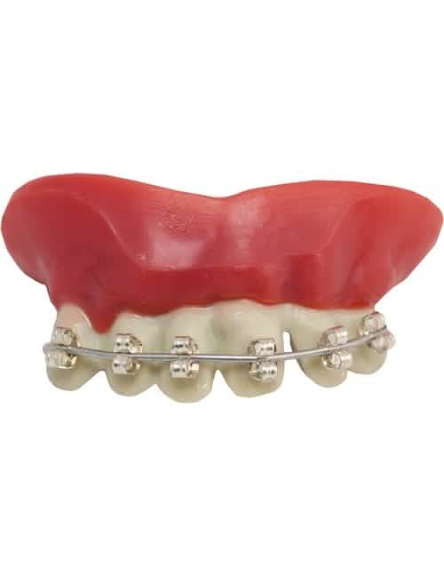 Dentadura aparato dental para adulto plateado