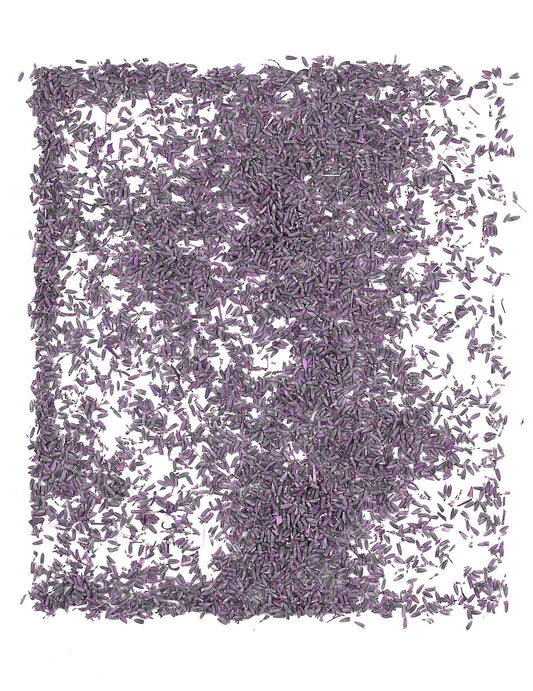 Bolsa de 1kg de flores de lavanda naturales para boda