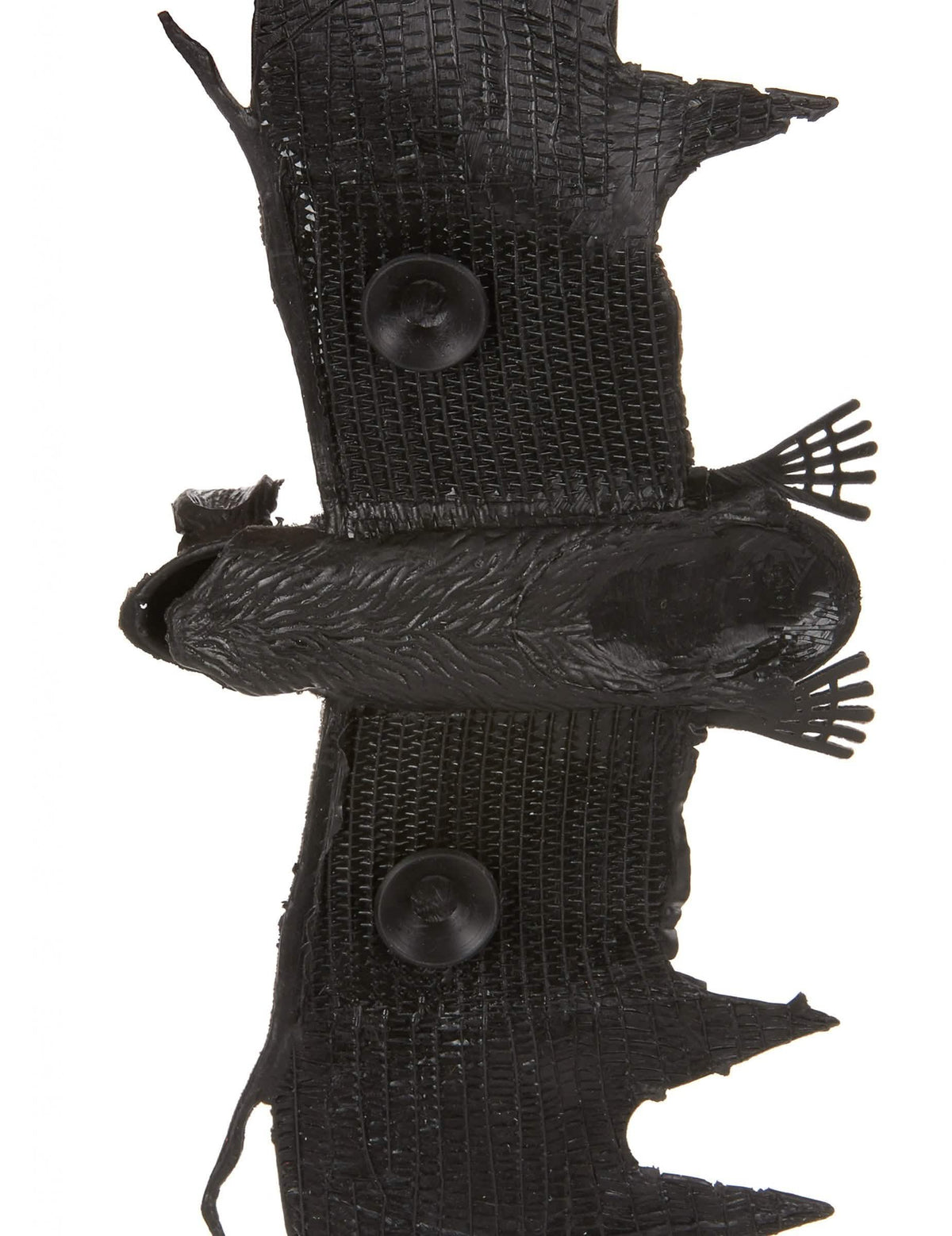 Détail des ventouses de fixation de la chauve-souris à suspendre Halloween