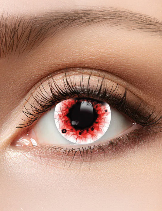 Lentillas blancas sangrientas 3 meses adulto