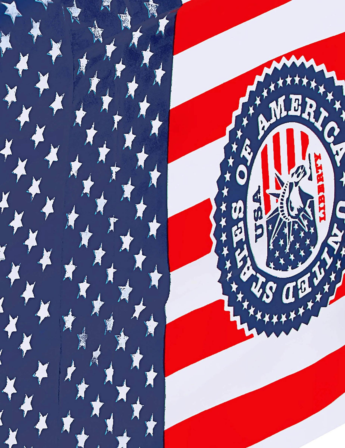 Primer plano del logotipo y los motivos del mantel usa para fiesta