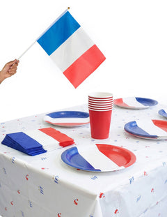 Decoración de cumpleaños de fútbol de Francia