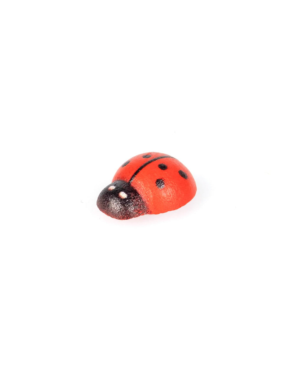Gros plan des coccinelles en bois coccinelle