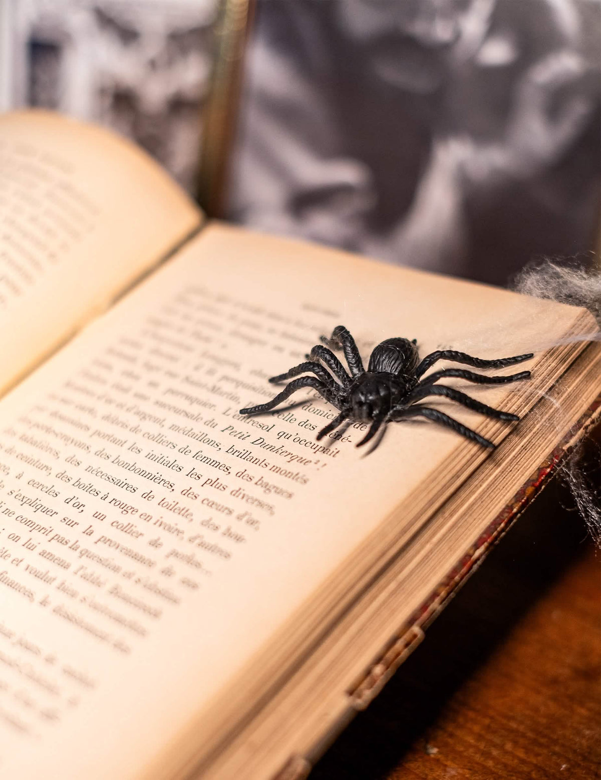 Gros plan d'une araignée sur un livre ouvert du lot de 12 araignées Halloween