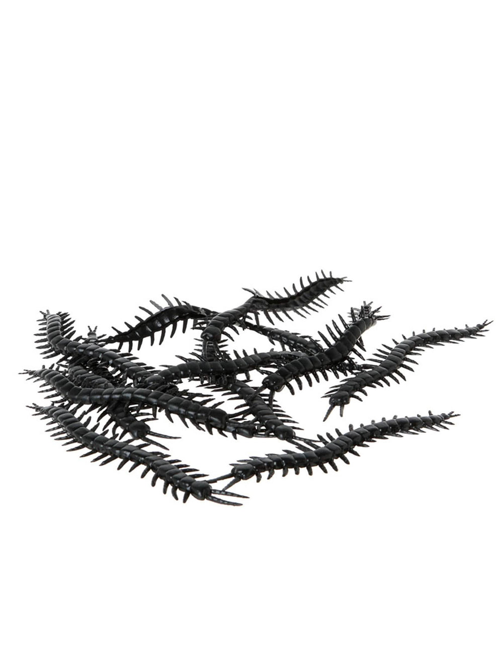 Lot de 12 mille-pattes Halloween pour décoration noirs