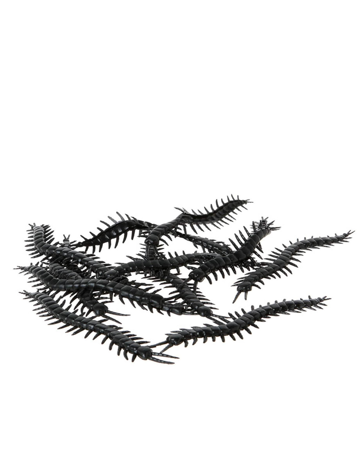 Lot de 12 mille-pattes Halloween pour décoration noirs