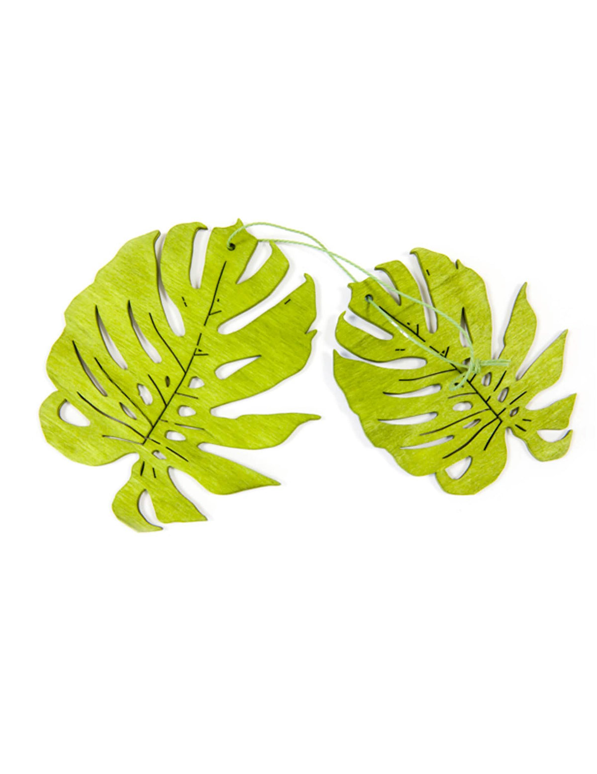 Hojas tropicales de madera para fiesta verdes
