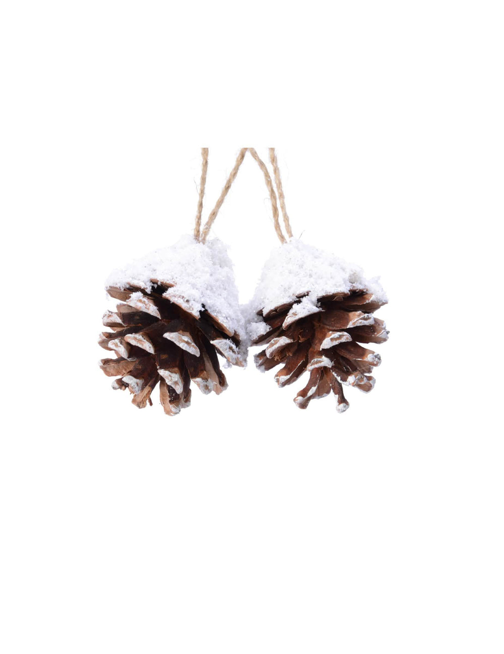 Suspensions pommes de pin pour décoration naturelles marron et blanc enneigées