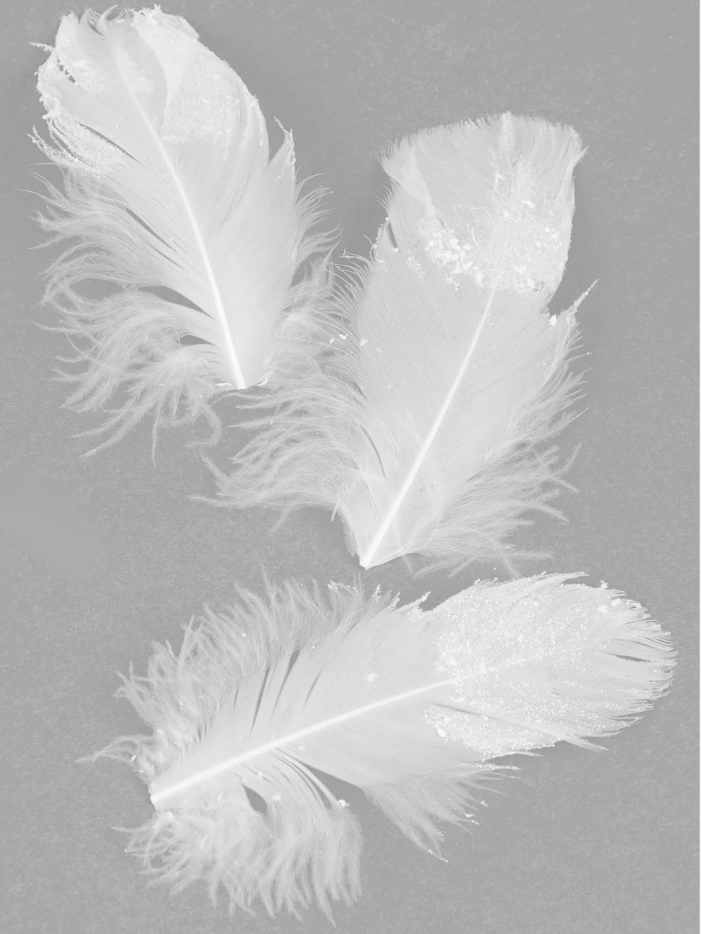 Plumes pailletées pour décoration blanches scintillantes
