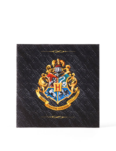 20 papierovÃ½ch obrÃºskov s motÃ­vom Harryho Pottera 33x33 cmâ„¢