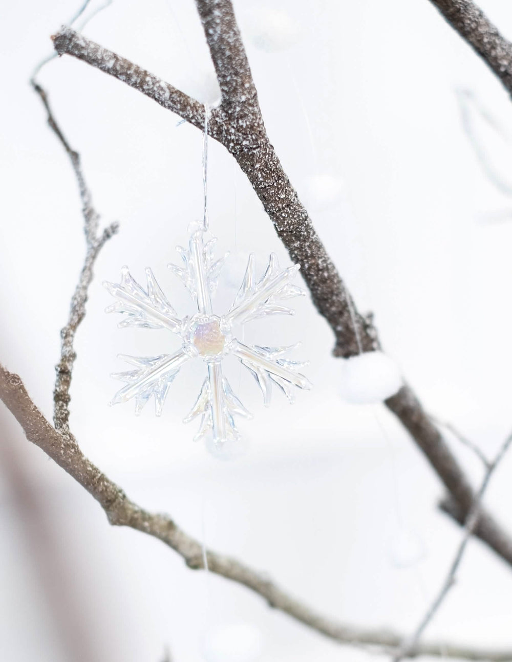 Suspension sur une branche du flocons en verre à suspendre pour sapin iridescents