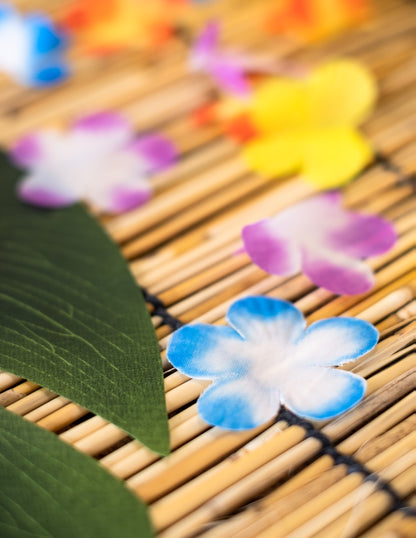 Gros plan sur les pétales colorés des fleurs décoratives Hawaï