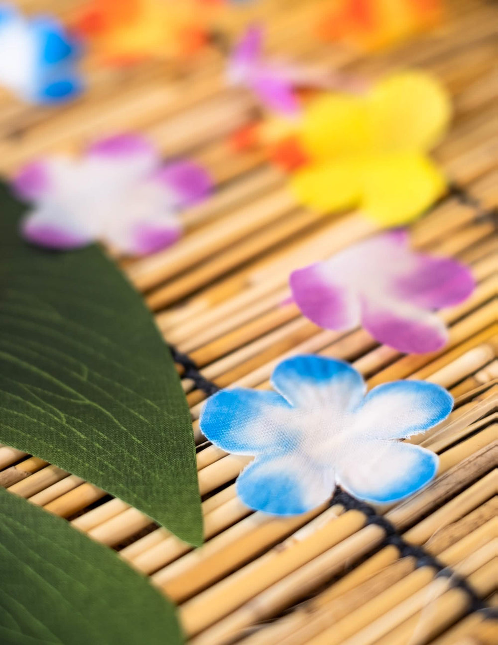 Primer plano de los pétalos de colores de las flores decorativas hawái