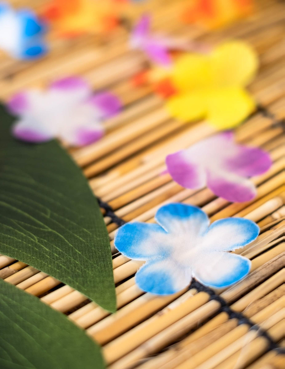 Primer plano de los pétalos de colores de las flores decorativas hawái