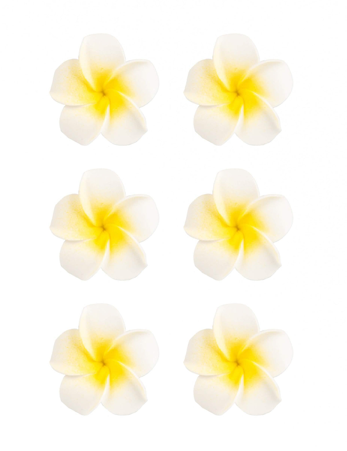 6 fleurs de monoï artificielles pour décoration blanches en mousse adhésives