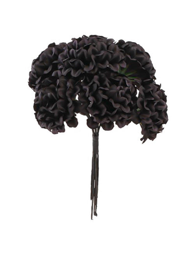 6 mini hortensias negras 14 cm
