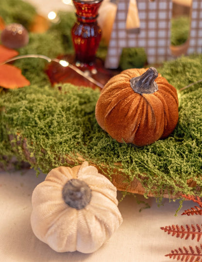 6 pequeñas calabazas de terciopelo crema y canela 6 cm