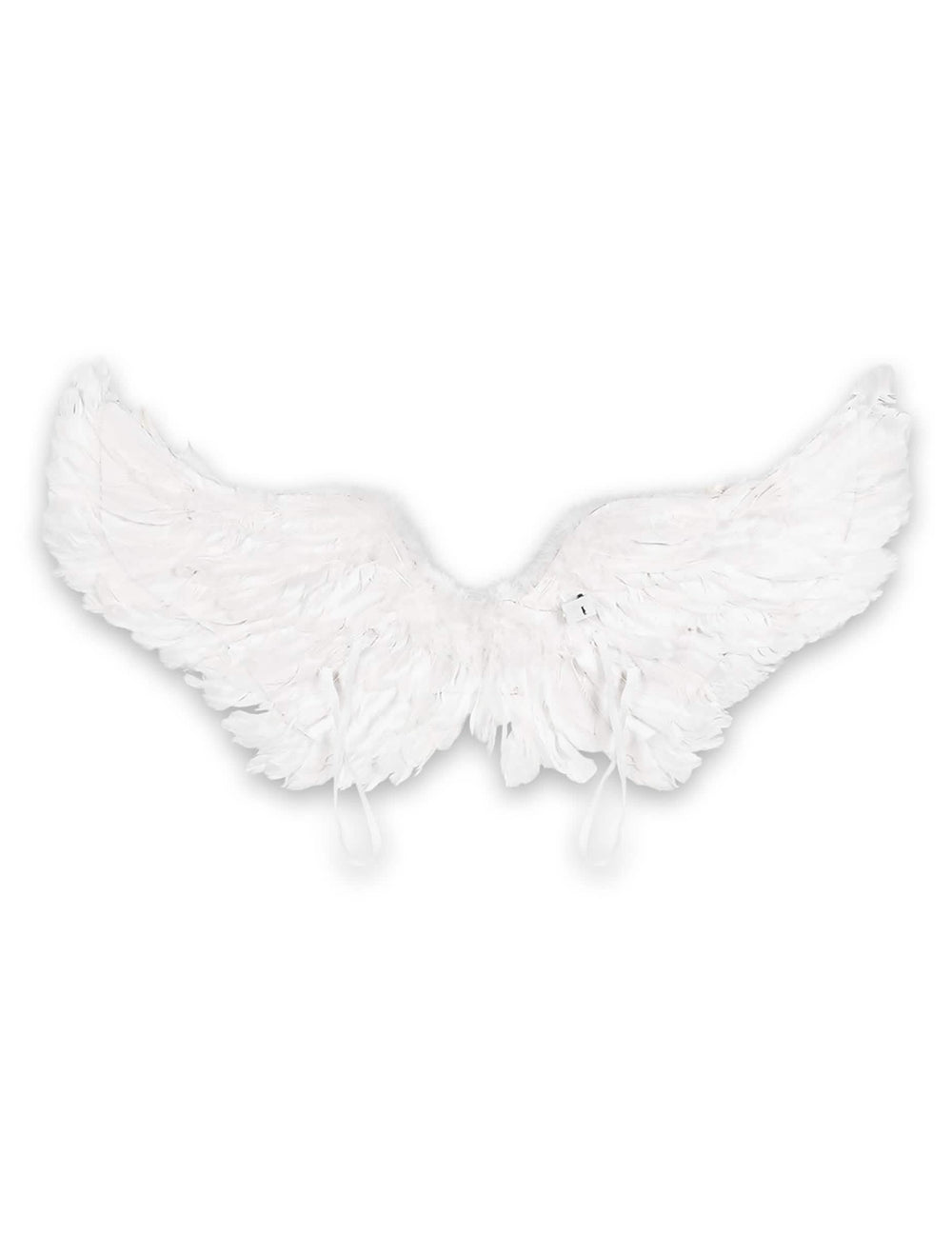 Vue de dos des ailes d'anges pour adulte