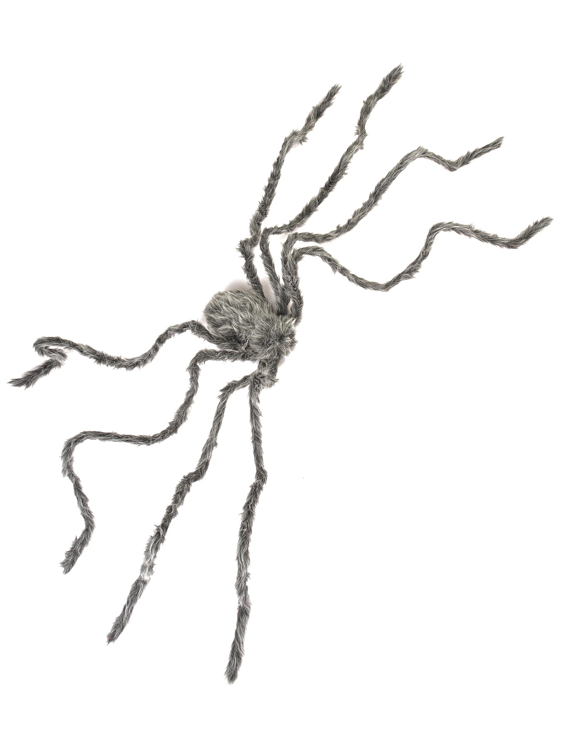 Détail des dimensions de l'araignée géante Halloween
