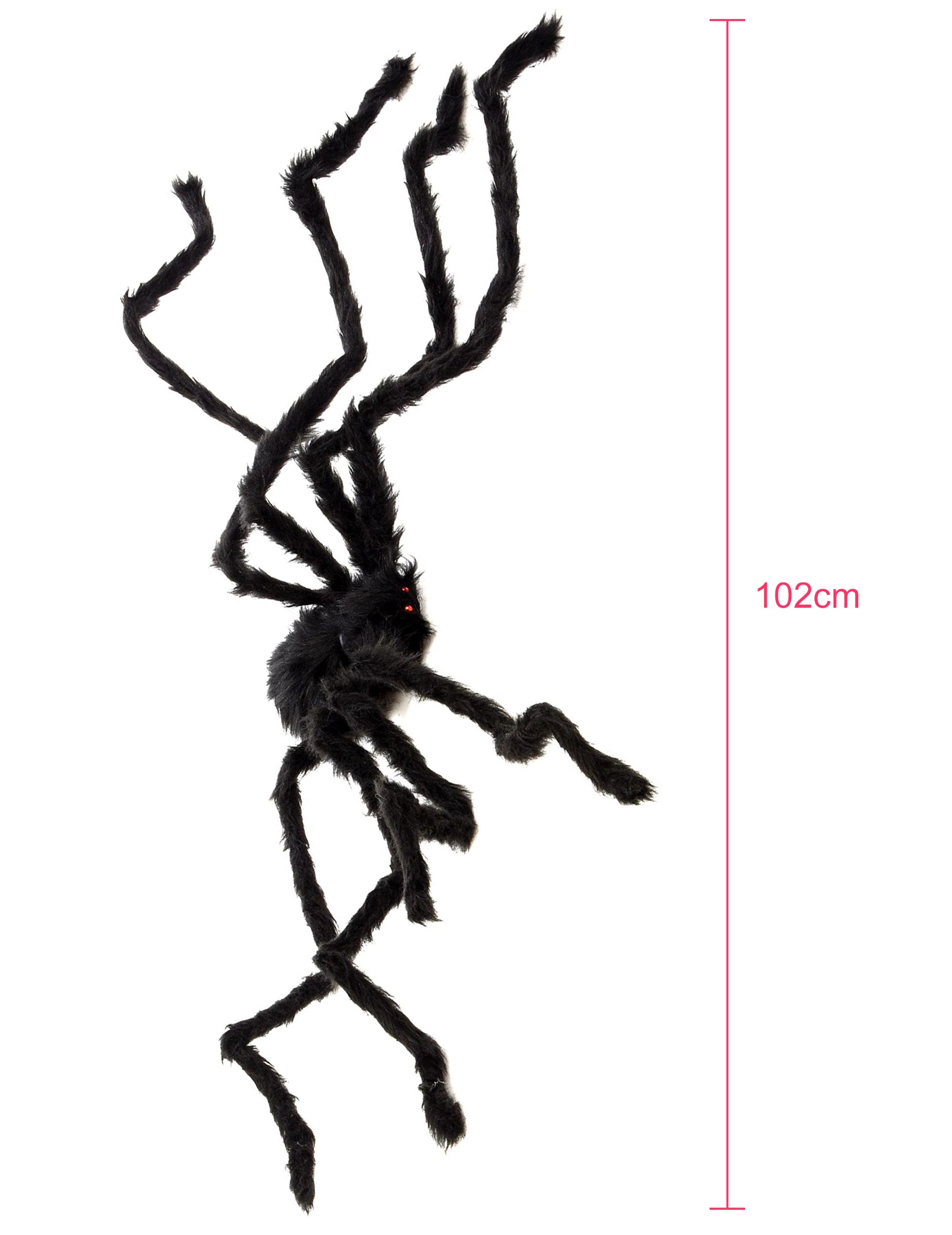 Aperçu des dimensions de l'araignée velue Halloween
