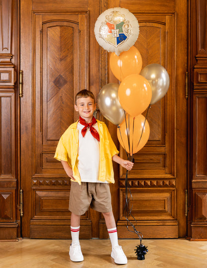 Ballon aluminium Harry Potter™ Blason de Poudlard 35 cm