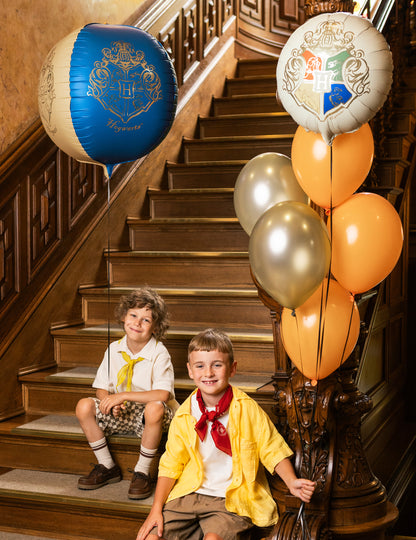 Globo de aluminio esfera Harry Potter™ Escudo de Hogwarts 50 cm