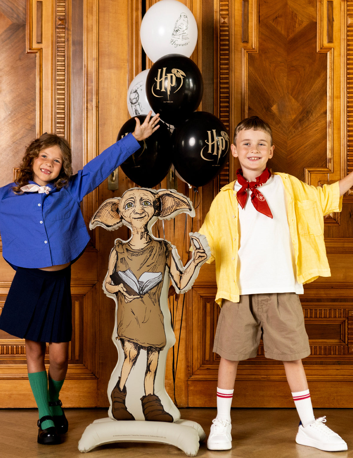 Globo de aluminio con soporte Harry Potter™ Dobby 54x105 cm