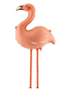 Globo de aluminio flamenco rosa coral 65 × 67 cm