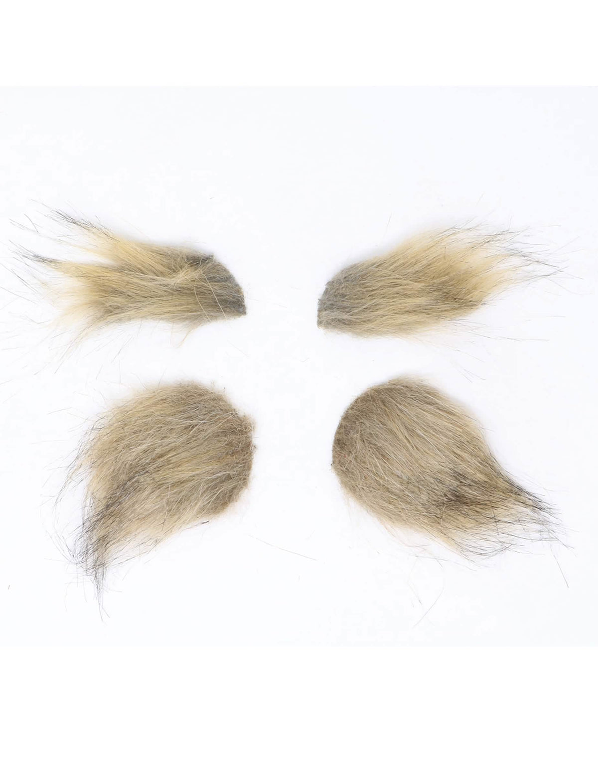 Detalle de los elementos de la barba y las cejas de hombre lobo