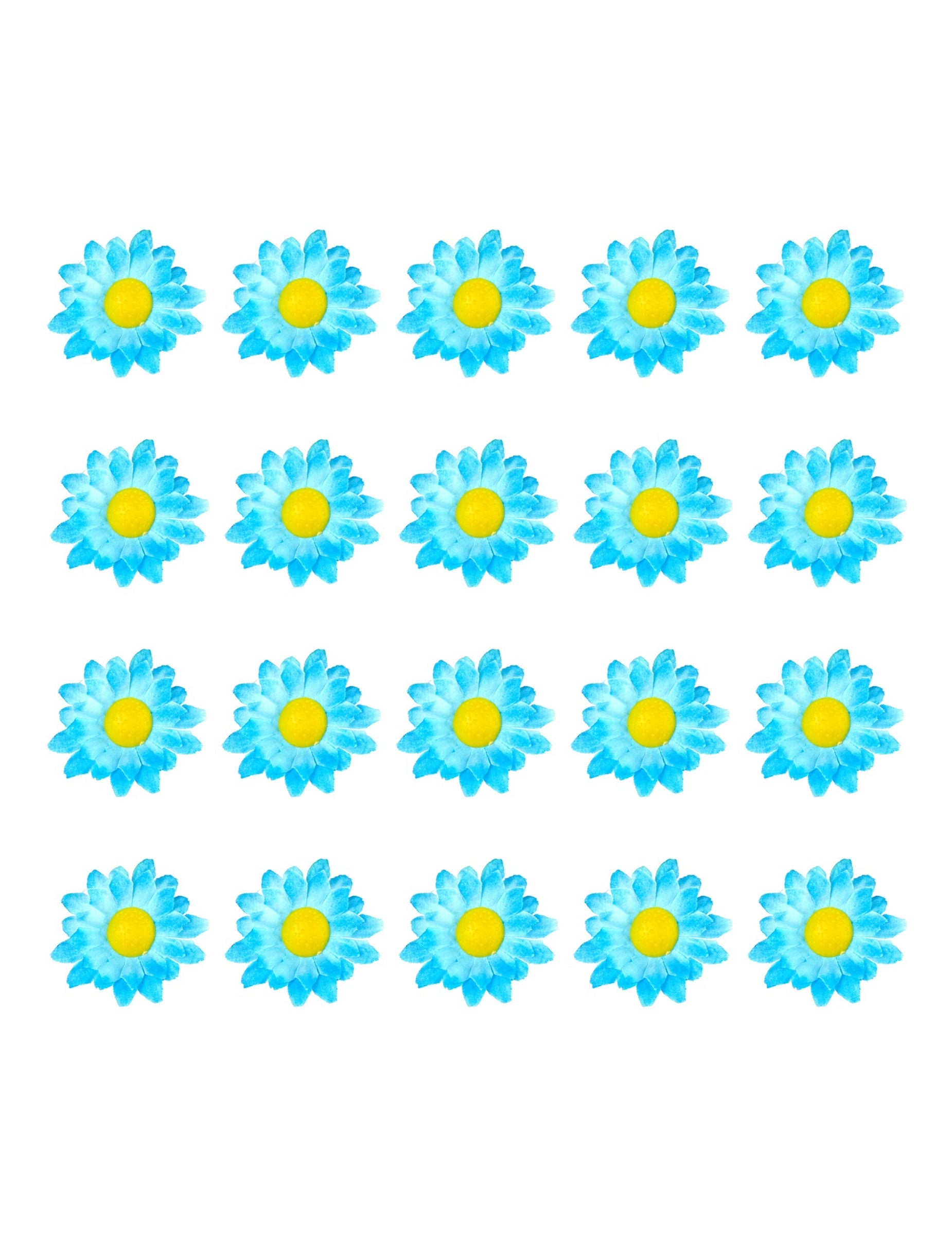 Vue d'ensemble des 20 unités des fleurs marguerites pour décoration