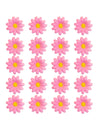 Caja de 20 flores de margarita rosa claro