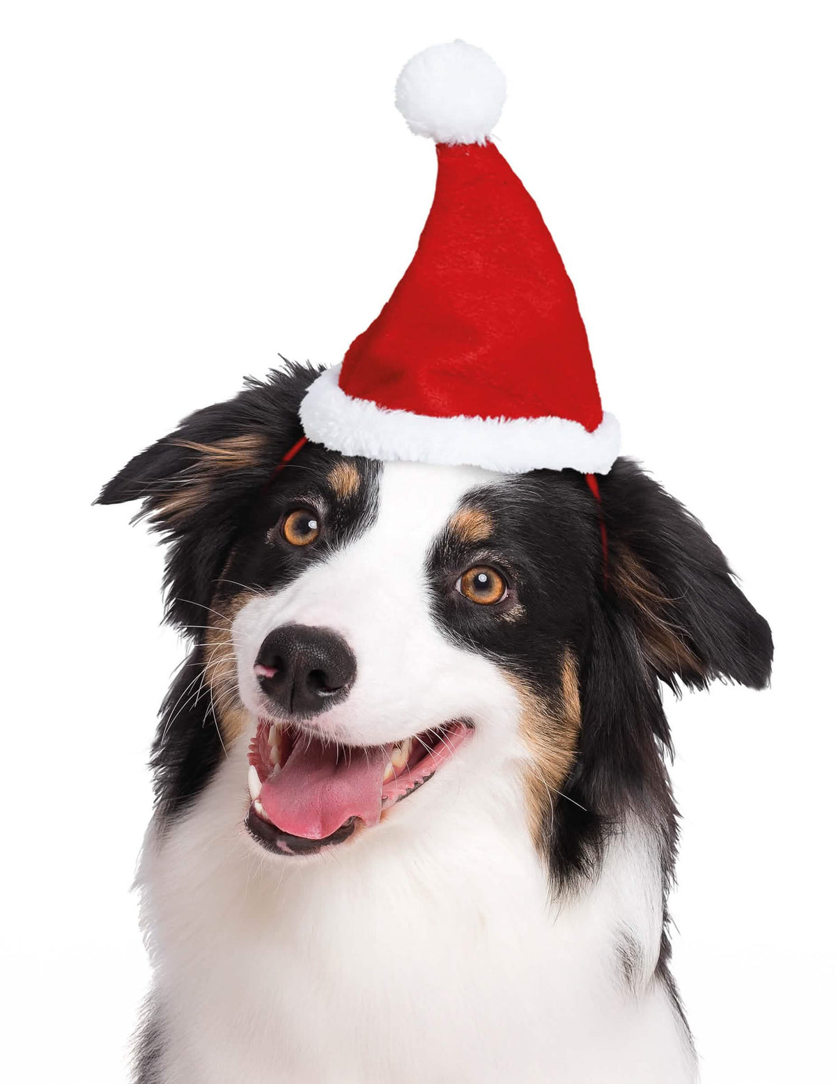 Bonnet de Noël pour animaux rouge et blanc