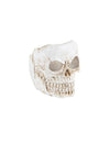 Portavelas de calavera en resina blanca 5 x 5,5 cm