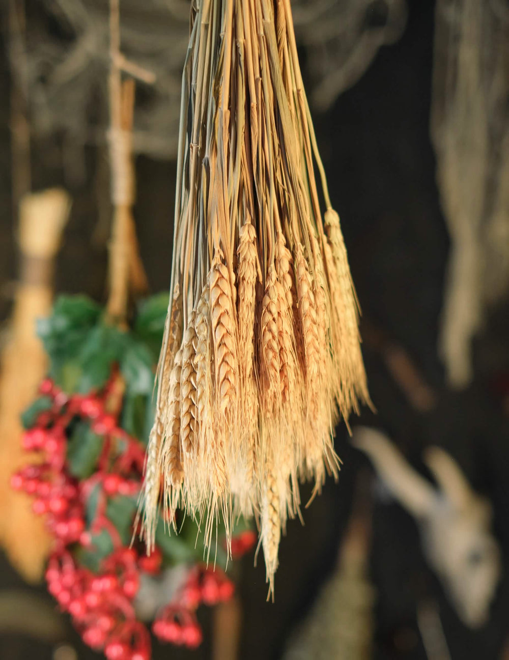 Primer plano de las espigas del ramo de espigas de trigo natural para decoración