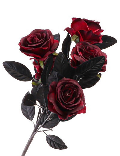 Ramo de 5 rosas burdeos con hojas negras 48 cm