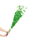 Canon à confettis pour fête vert
