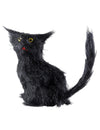 Dimensions du chat noir Halloween pour décoration