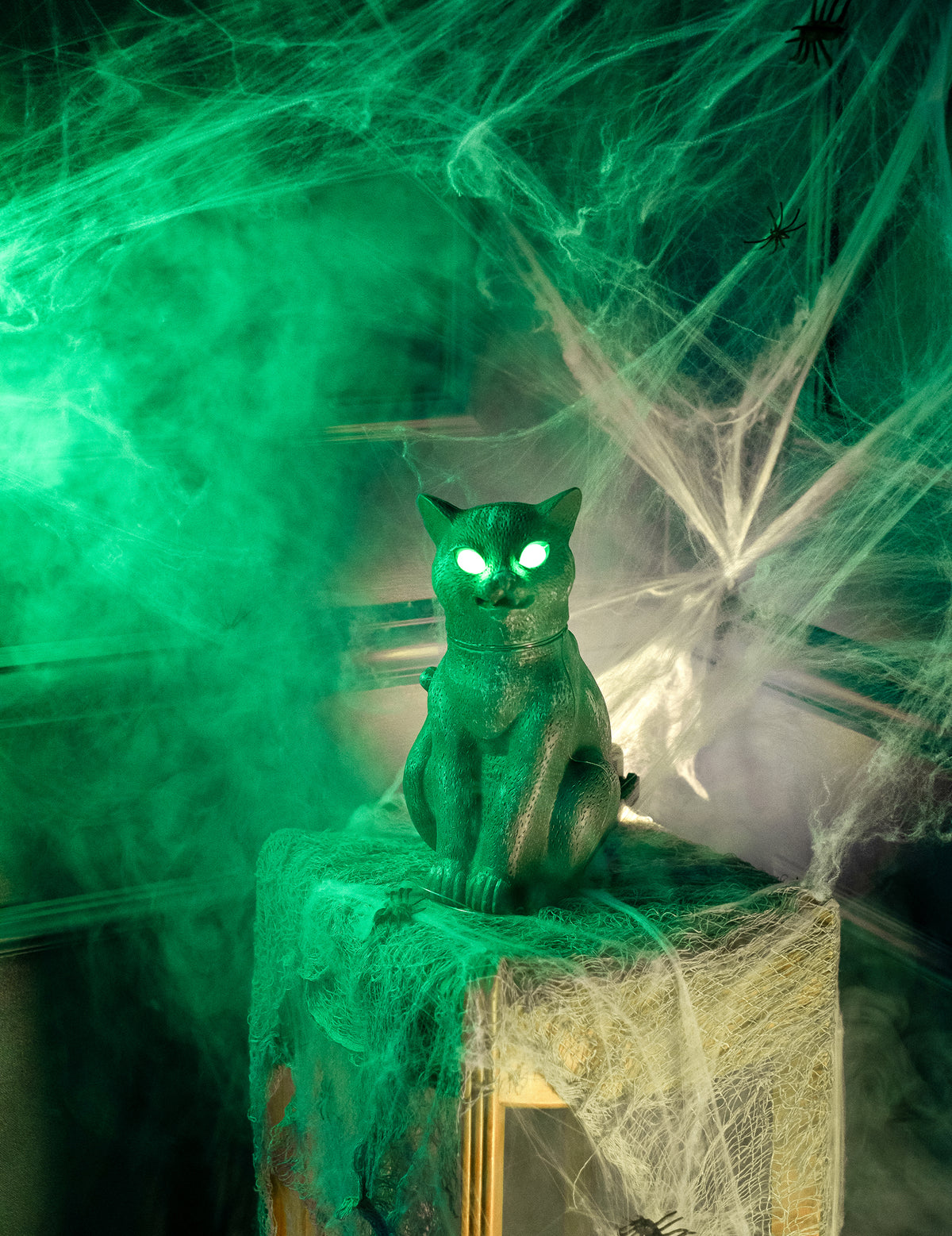 Mise en situation du chat noir aux yeux brillants pour Halloween sonore et lumineux