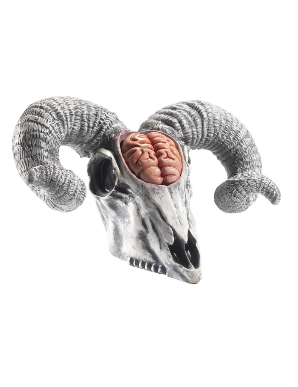 Crâne de bélier avec cervelle apparente pour adulte blanc et gris avec cerveau rose